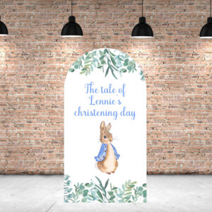 Peter Rabbit Sailboard