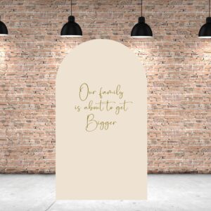 Baby Shower Backdrop, Baby Announcement, Baby Shower Party, Arch Backdrop, Sailboard Backdrop